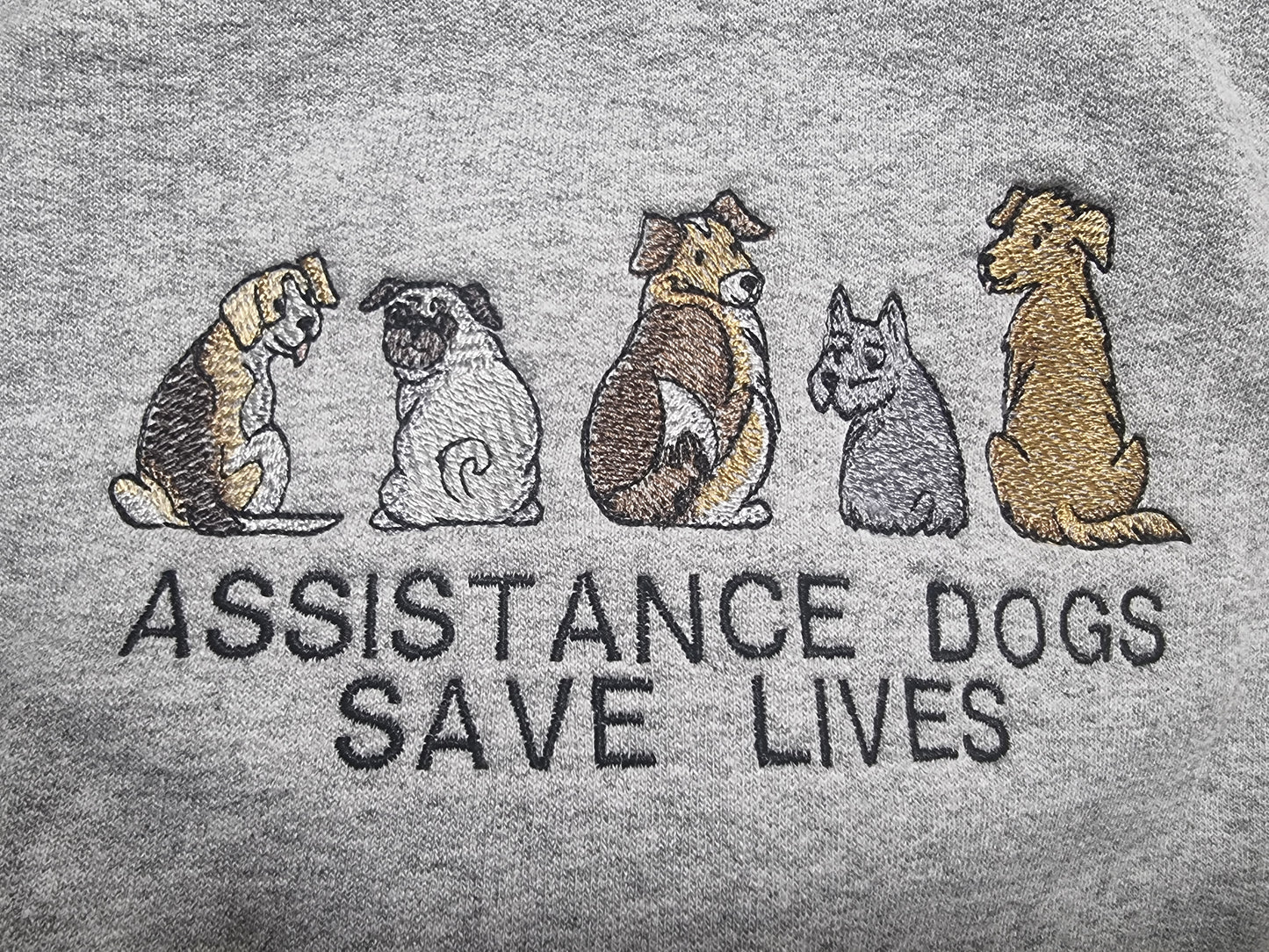 Assistance dogs save lives hoodie