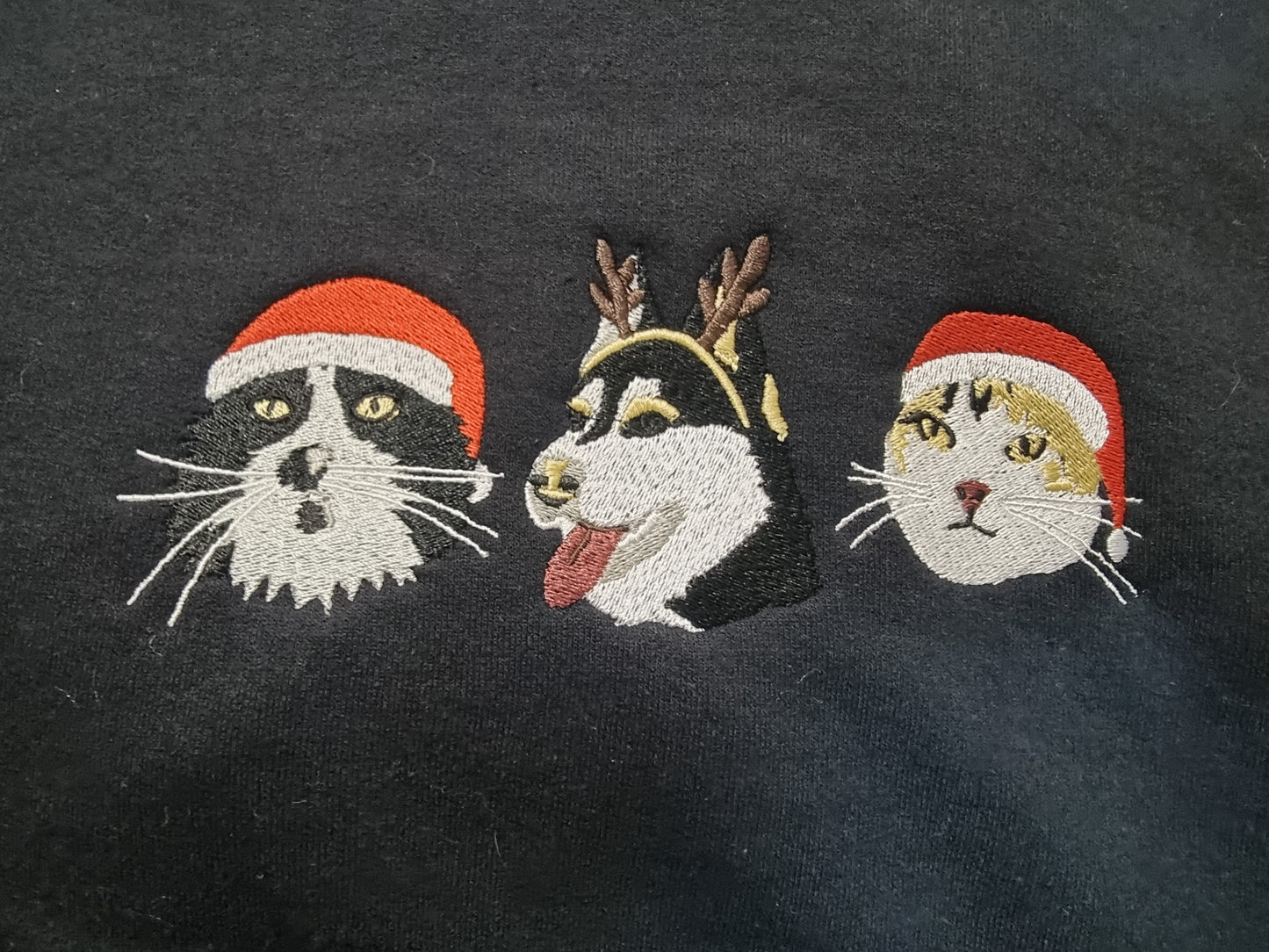 Pet portrait hoodies