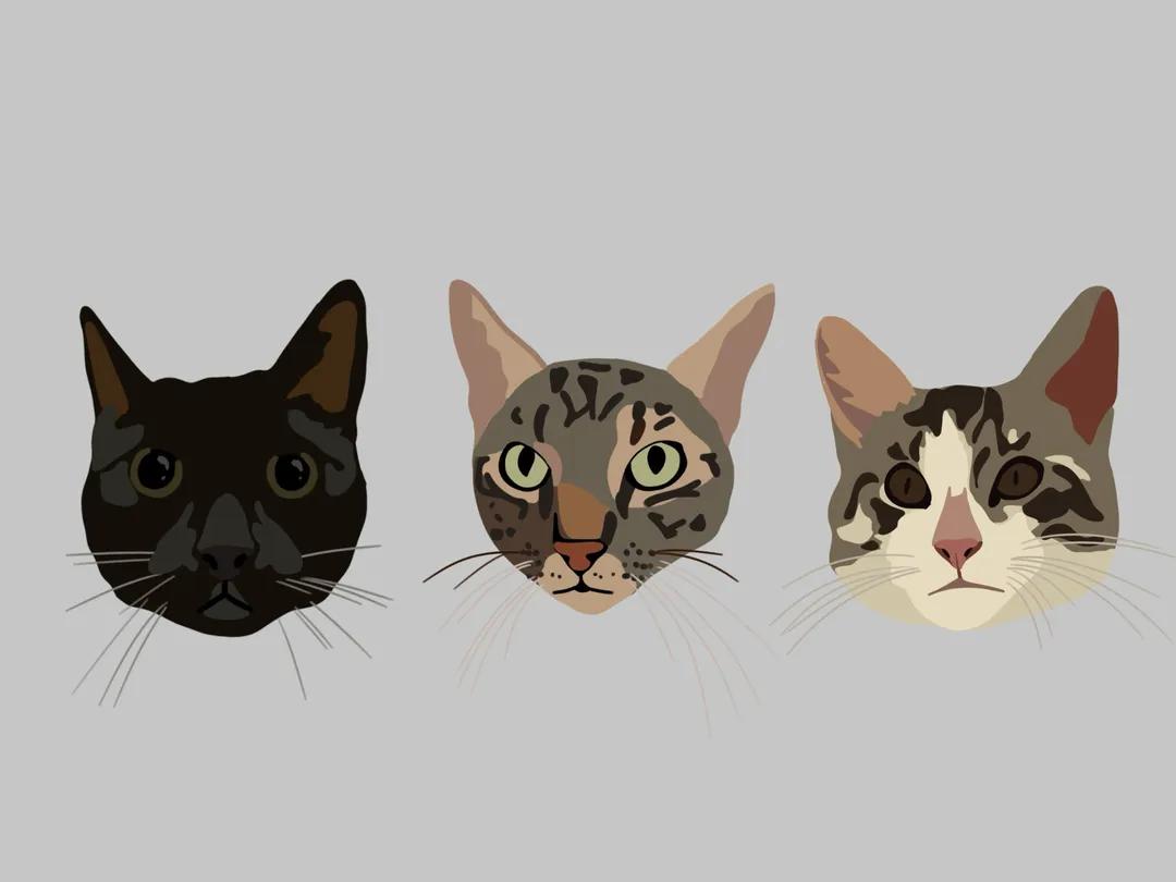 Pet portrait hoodies