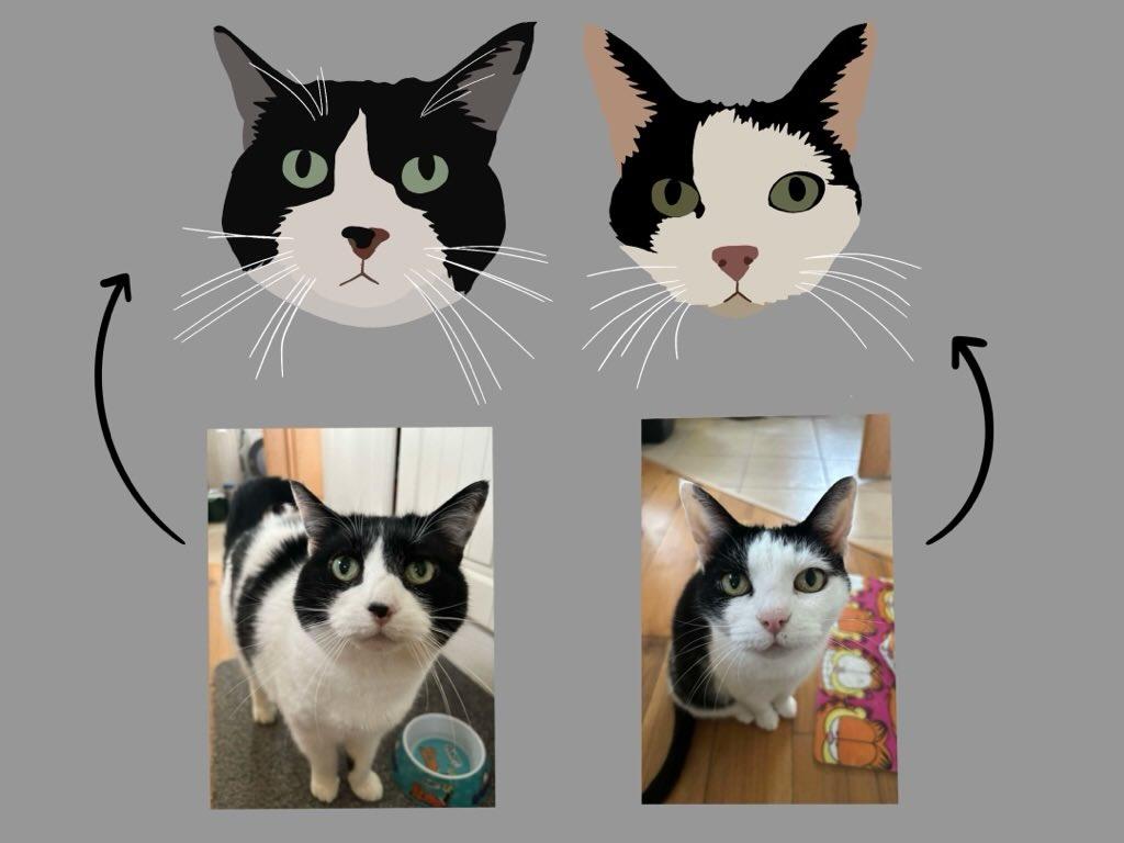 Pet portrait hoodies