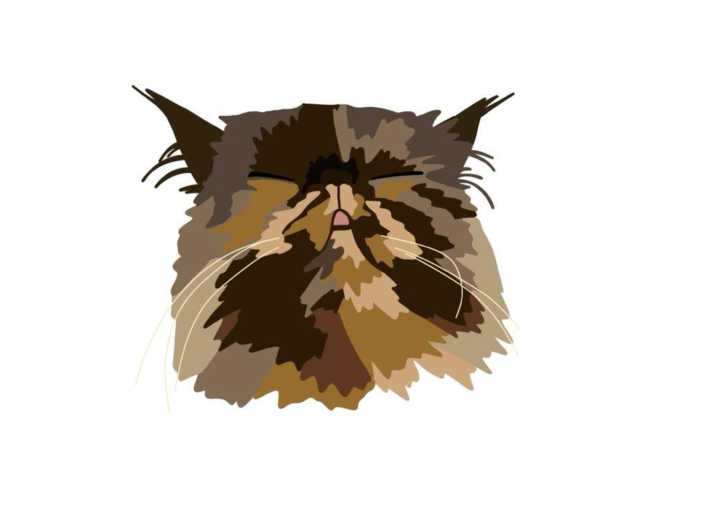 Pet portrait hoodies