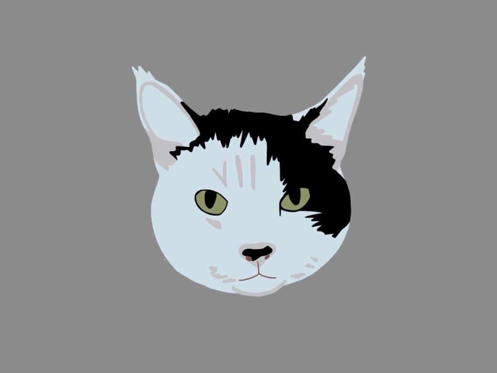 Pet portrait hoodies
