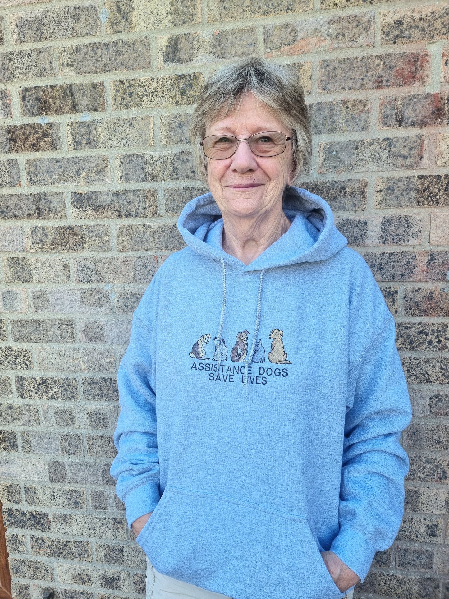 Assistance dogs save lives hoodie