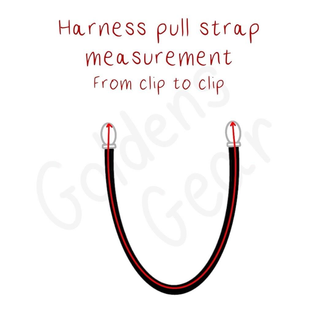 Custom harness for Arya