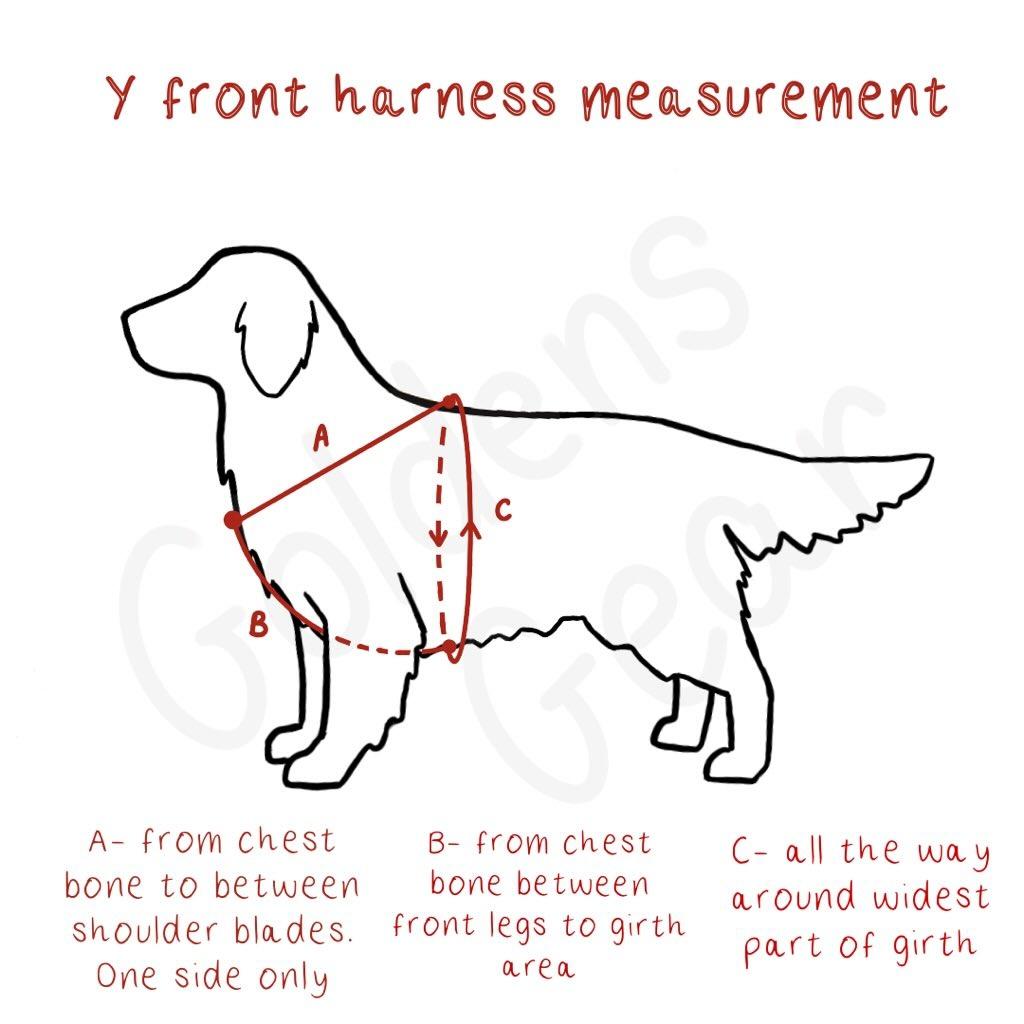 Custom harness for Arya