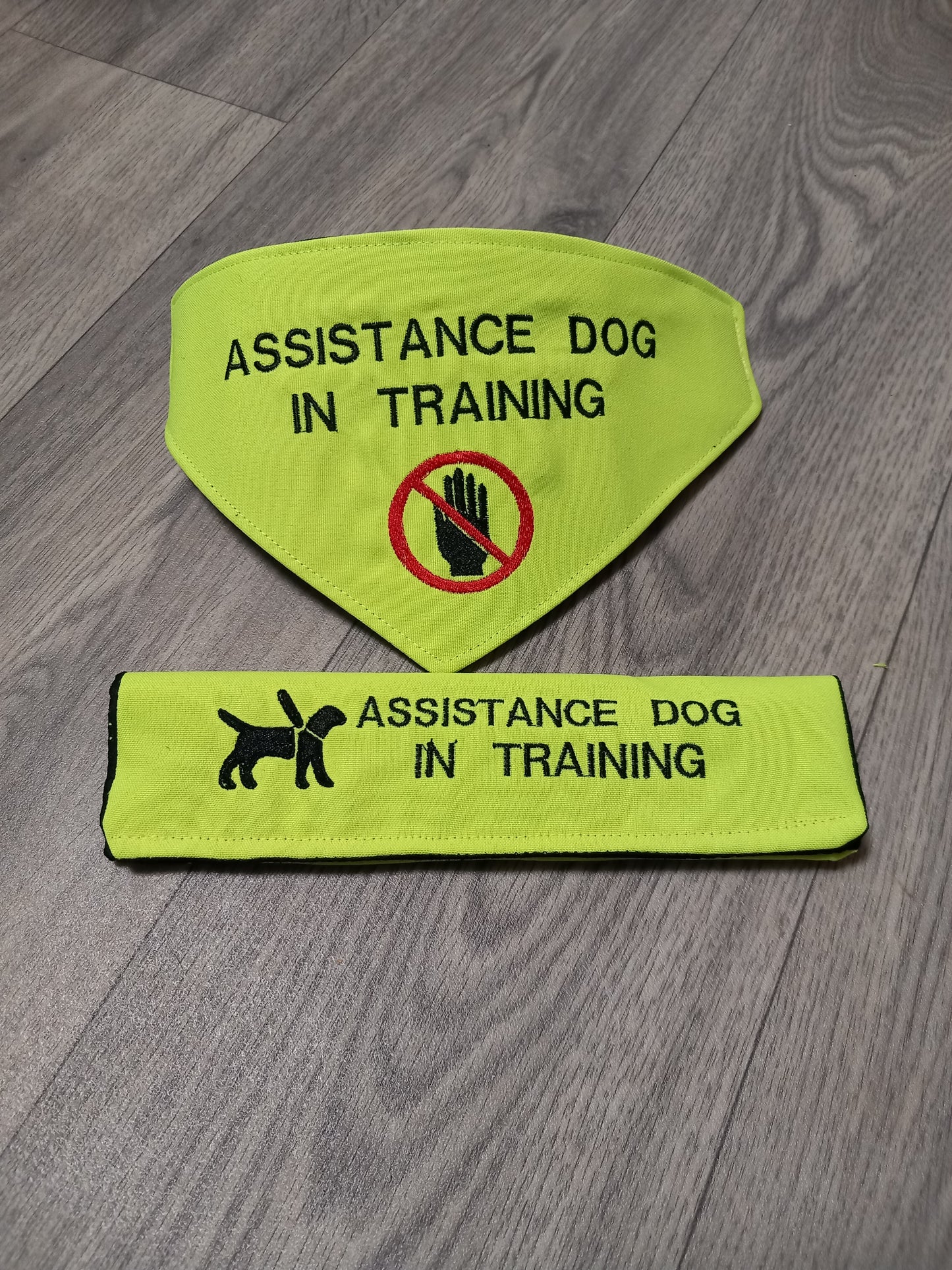 Custom embroidered dog bandana