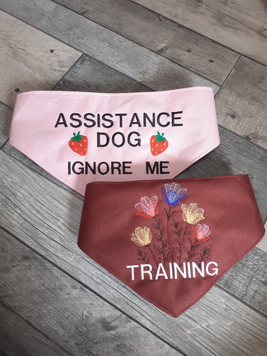 Custom embroidered dog bandana