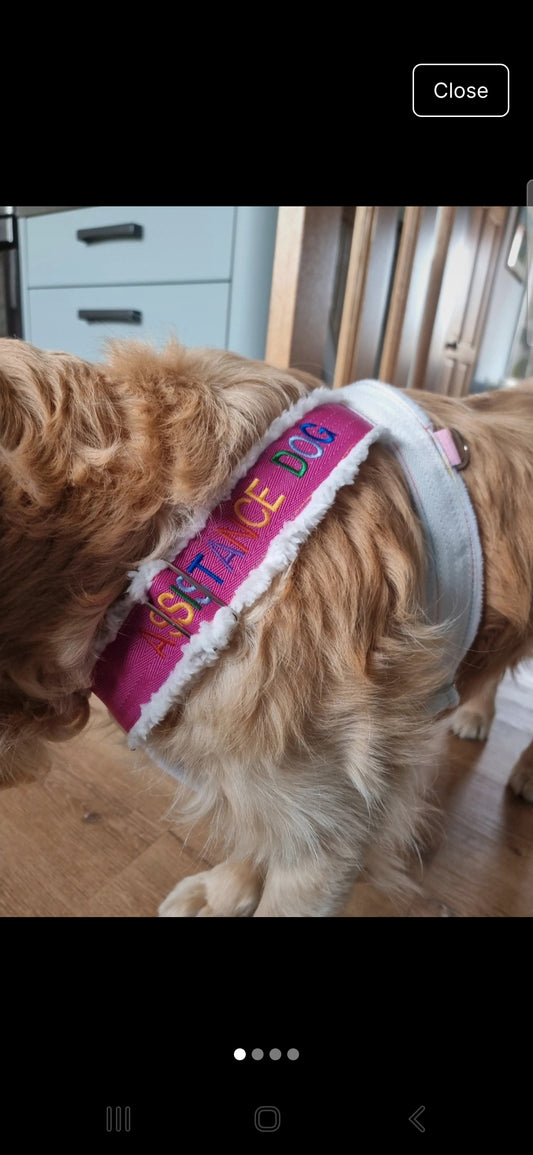 Pink rainbow harness premade